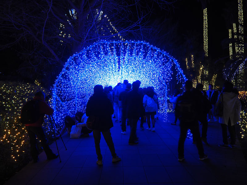 f:id:ttq-happy:20190114163714j:plain