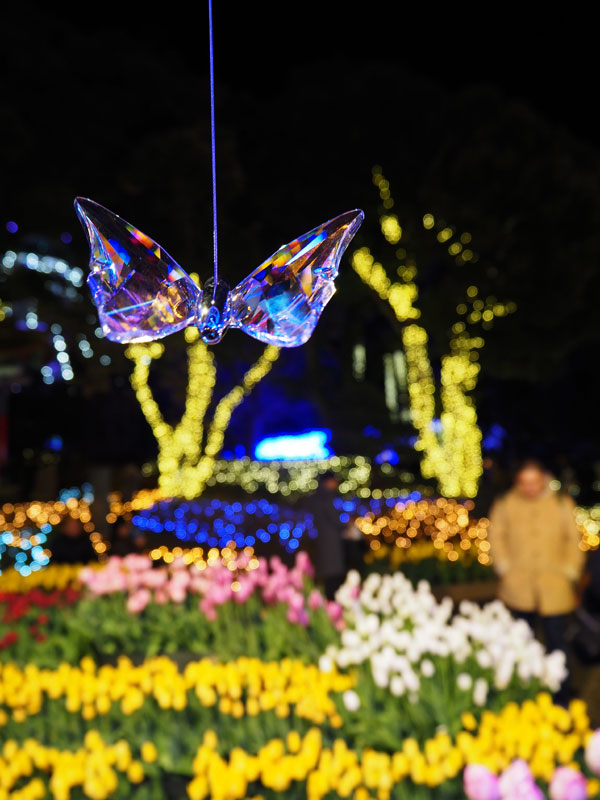 f:id:ttq-happy:20190114163720j:plain