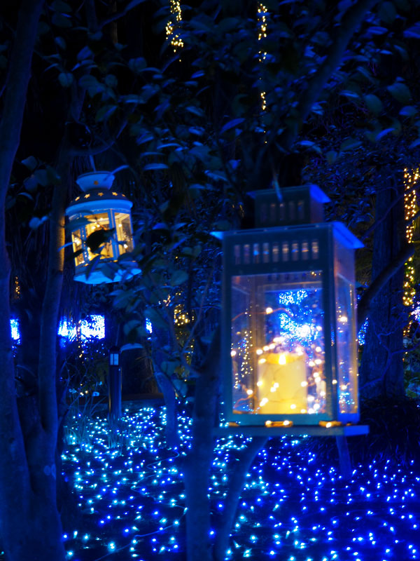 f:id:ttq-happy:20190114164042j:plain