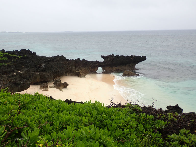 f:id:ttq-happy:20190804213646j:plain f:id:ttq-happy:20190804213646j:plain