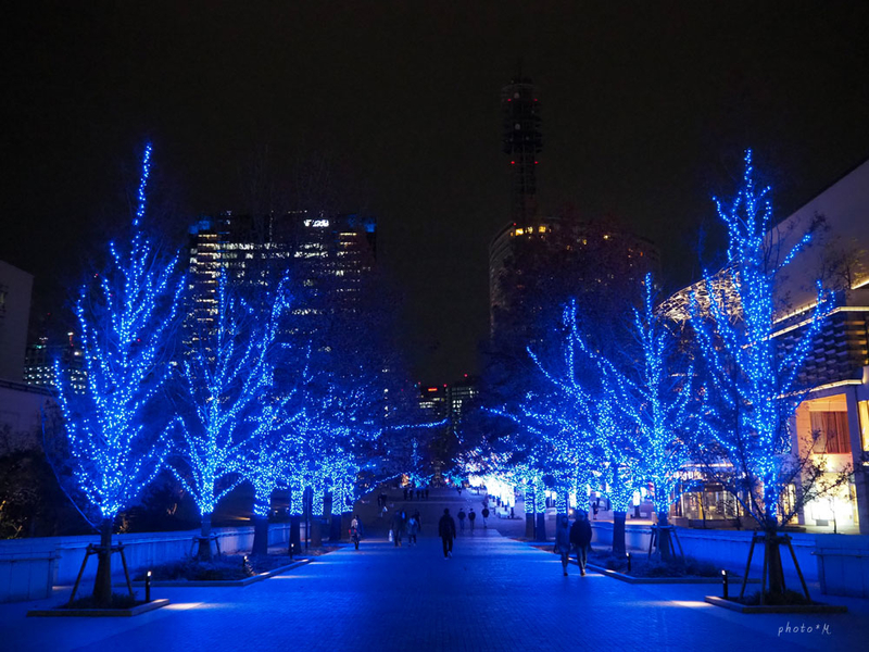 f:id:ttq-happy:20191210170825j:plain