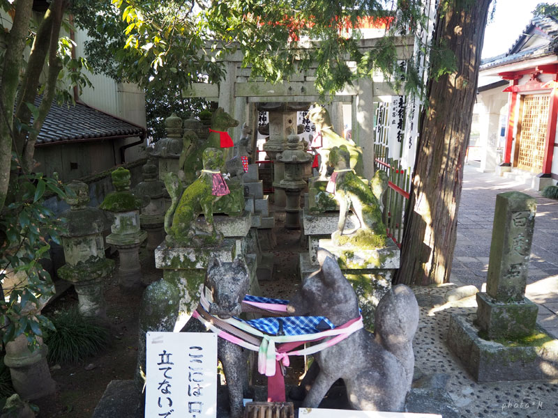 f:id:ttq-happy:20200325164106j:plain f:id:ttq-happy:20200325164106j:plain