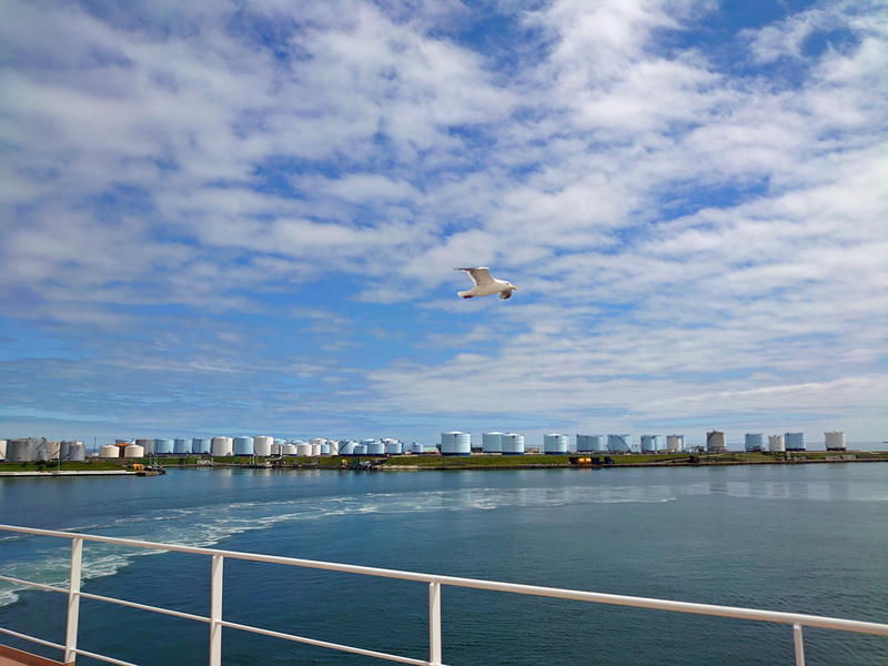 f:id:ttq-happy:20210727065005j:plain