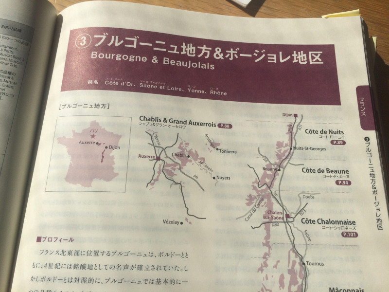 【極レア】50×70cm 仏ワイン地域の地図3枚セット ソムリエ試験対策 B2 極レア】50×70cm 仏ワイン地域の地図3枚セット ソムリエ試験対策