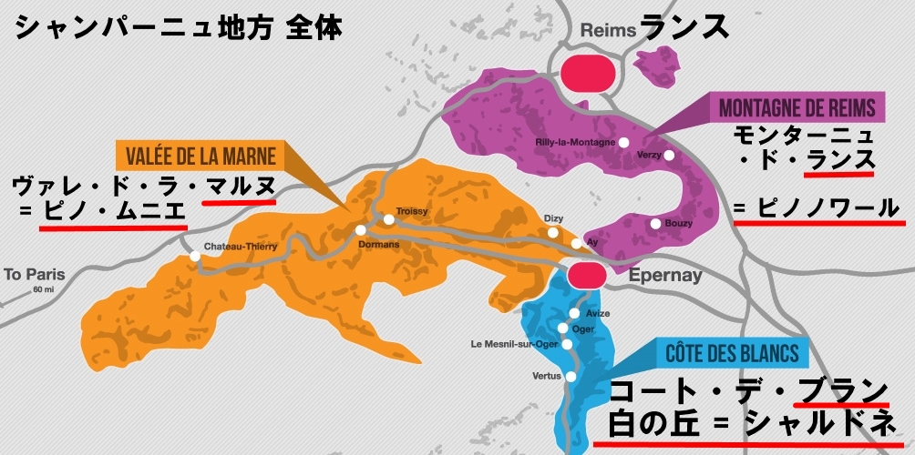 シャンパーニュ地方 ☆ 品種・産地、グランクリュの覚え方 など