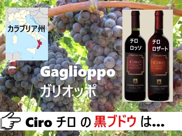 f:id:ttrd80:20170610230332j:plain