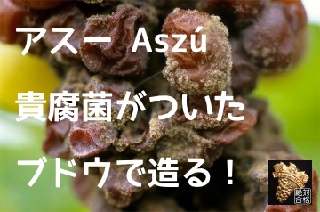f:id:ttrd80:20171211131021j:plain