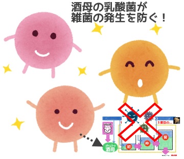 f:id:ttrd80:20180104134930j:plain