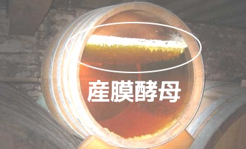 f:id:ttrd80:20180306112239j:plain