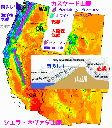 アメリカ西海岸 ワシントン オレゴン の A V A を覚えよう
