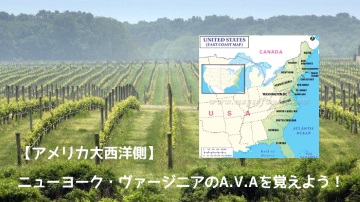 アメリカ大西洋側 ニューヨーク ヴァージニアのa V A を覚えよう ソムリエ ワインエキスパート試験に絶対に合格したいアナタへ