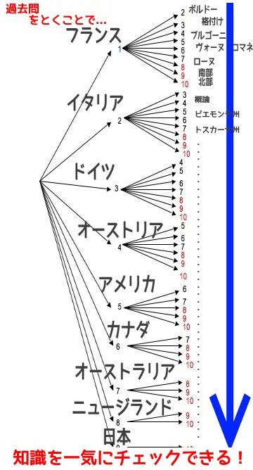 試験１か月前からは過去問を ソムリエ ワインエキスパート合格のコツ ソムリエ ワインエキスパート試験に絶対に合格したいアナタへ