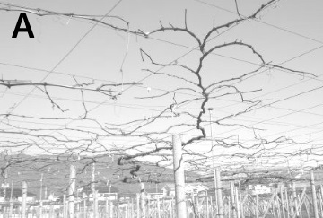 f:id:ttrd80:20180802124236j:plain f:id:ttrd80:20180802124236j:plain