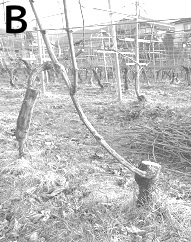 f:id:ttrd80:20180802124301j:plain f:id:ttrd80:20180802124301j:plain