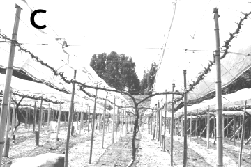 f:id:ttrd80:20180802124312g:plain f:id:ttrd80:20180802124312g:plain