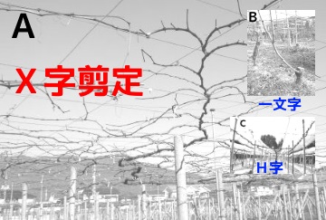 f:id:ttrd80:20180802124712j:plain f:id:ttrd80:20180802124712j:plain