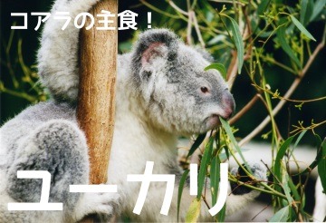 f:id:ttrd80:20180913113349j:plain