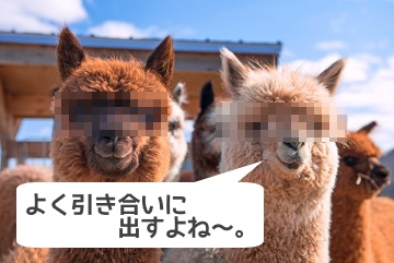 f:id:ttrd80:20180913124443j:plain