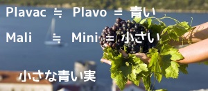 f:id:ttrd80:20190204134118j:plain
