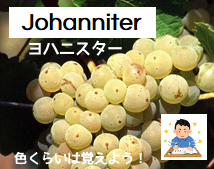 f:id:ttrd80:20190731125028p:plain