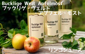 f:id:ttrd80:20190816133623p:plain f:id:ttrd80:20190816133623p:plain