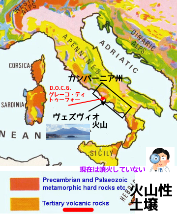 f:id:ttrd80:20191212001404p:plain f:id:ttrd80:20191212001404p:plain