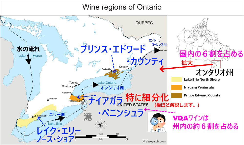 カナダ オンタリオ州 ナイアガラ ペニンシュラをひもといてみた ソムリエ ワインエキスパート試験に絶対に合格したいアナタへ