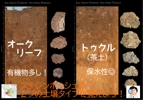 f:id:ttrd80:20200319122257p:plain f:id:ttrd80:20200319122257p:plain