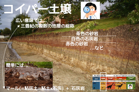 f:id:ttrd80:20200330212509p:plain