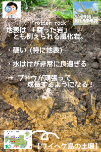 f:id:ttrd80:20200618200029p:plain