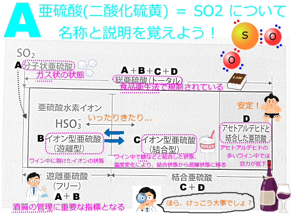 f:id:ttrd80:20200713110343p:plain
