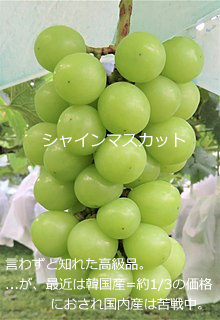 f:id:ttrd80:20200909105100p:plain f:id:ttrd80:20200909105100p:plain