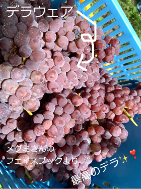 f:id:ttrd80:20200909110529p:plain f:id:ttrd80:20200909110529p:plain