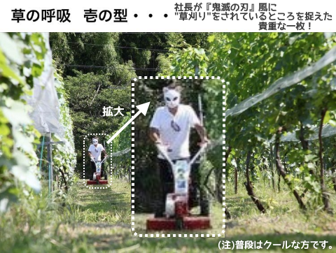 f:id:ttrd80:20200910140004p:plain f:id:ttrd80:20200910140004p:plain