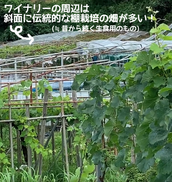 f:id:ttrd80:20200910150247p:plain f:id:ttrd80:20200910150247p:plain