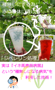 f:id:ttrd80:20200911233034p:plain f:id:ttrd80:20200911233034p:plain