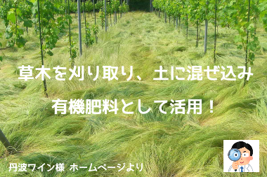 f:id:ttrd80:20201008130544p:plain