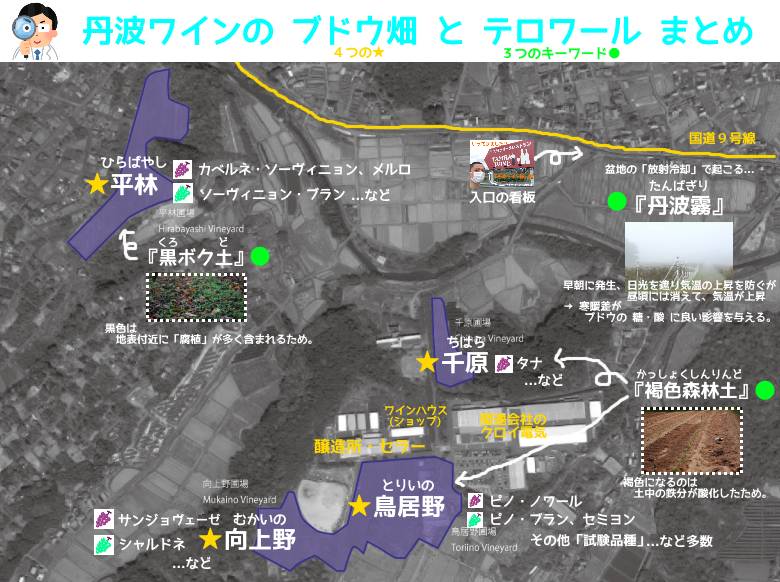f:id:ttrd80:20201008132950p:plain