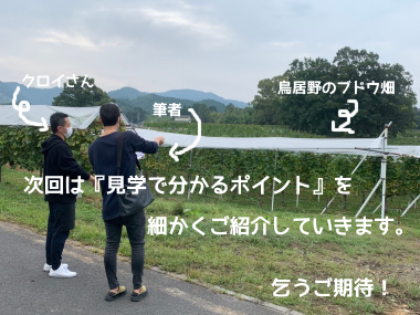 f:id:ttrd80:20201009104443p:plain