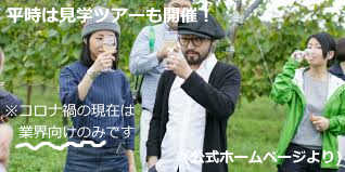 f:id:ttrd80:20201029145819p:plain f:id:ttrd80:20201029145819p:plain