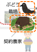 f:id:ttrd80:20201203121235p:plain
