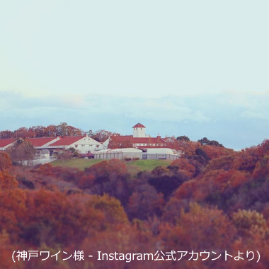 f:id:ttrd80:20201203121836p:plain