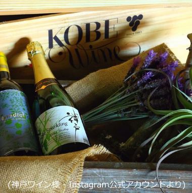 f:id:ttrd80:20201203122737p:plain