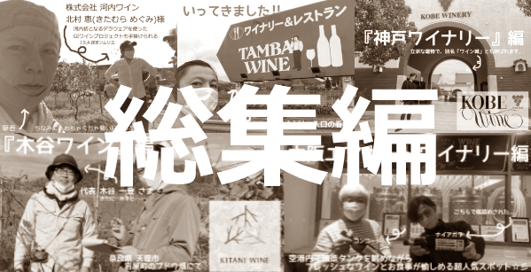 f:id:ttrd80:20210130205923p:plain