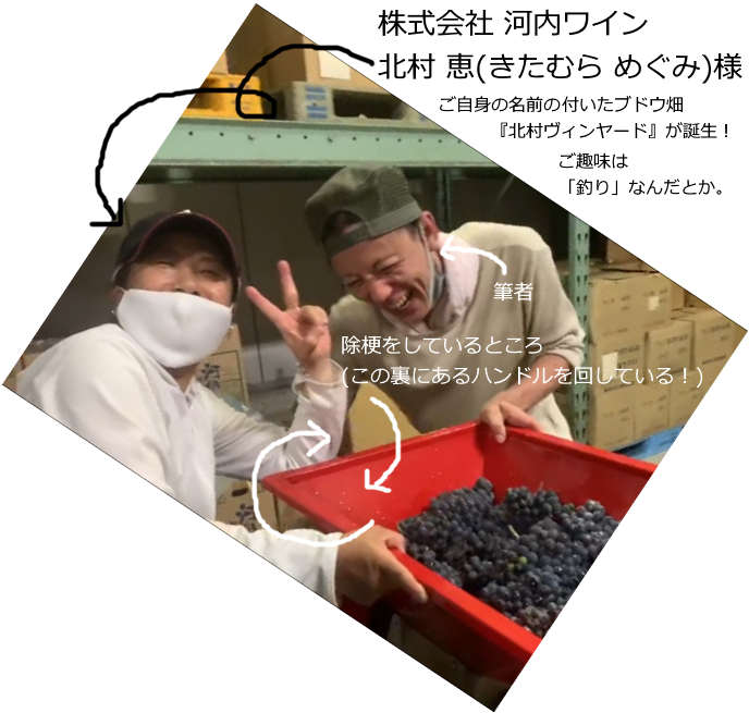 f:id:ttrd80:20210203200347p:plain