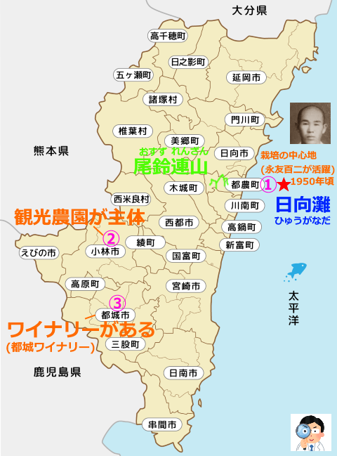 f:id:ttrd80:20210324011237p:plain