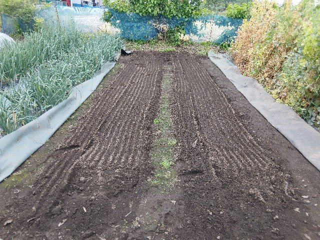 f:id:ttskhtss:20250519125658j:image