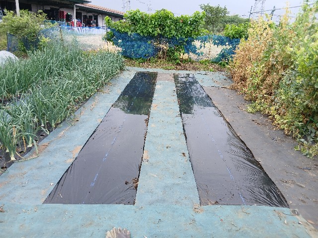 f:id:ttskhtss:20250519125745j:image