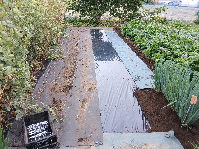 f:id:ttskhtss:20250519125913j:image