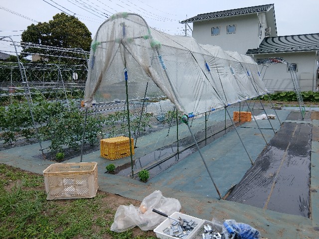 f:id:ttskhtss:20250527133052j:image f:id:ttskhtss:20250527133052j:image